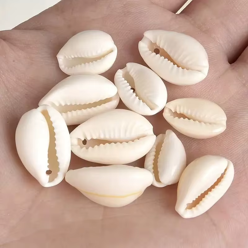 Conchitas de Mar - 100gr