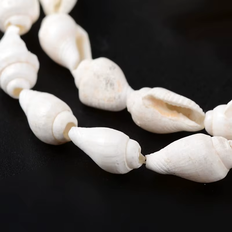 Tira Conchitas de Mar Naturales