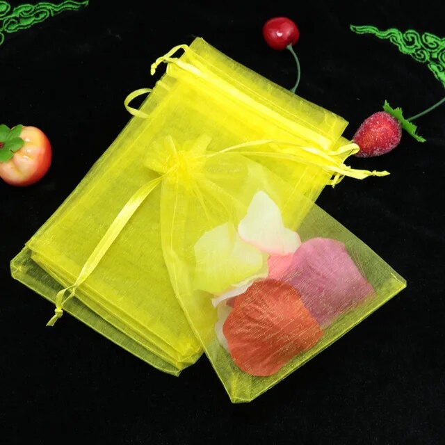 Bolsa Organza 9x12cm