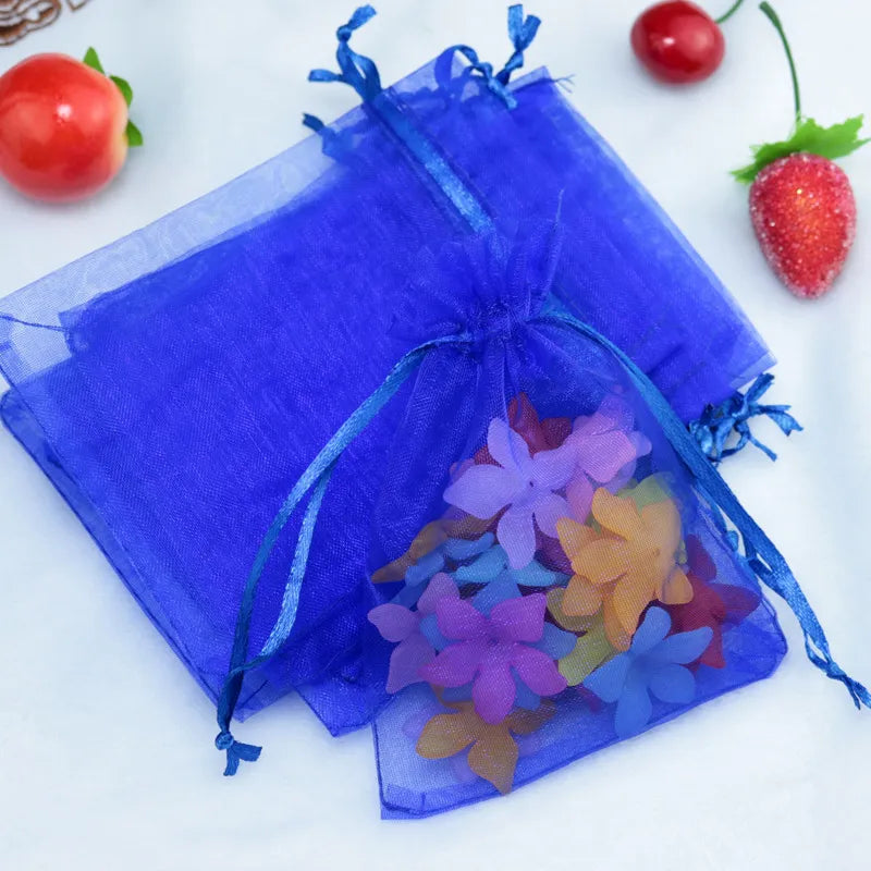 Bolsa Organza 9x12cm
