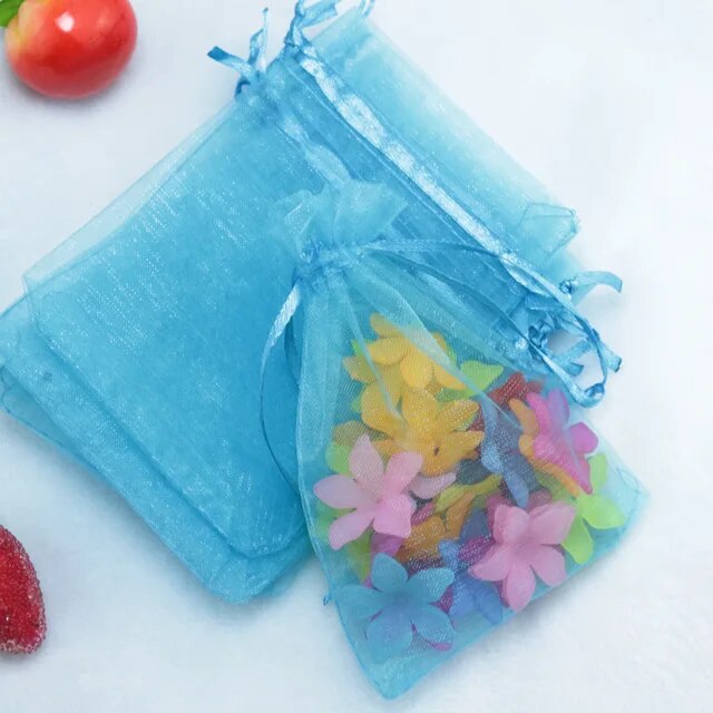 Bolsa Organza 9x12cm