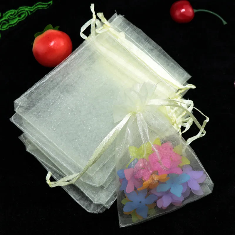 Bolsa Organza 9x12cm